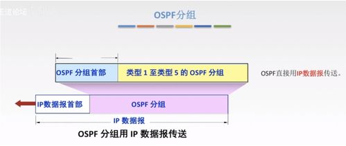 计算机网络信息咨询 深入解析网络层的核心功能与关键技术
