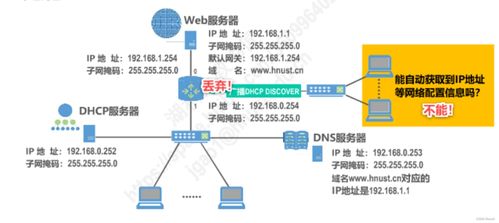 计算机网络信息咨询 从生活助手到学术帝国的飞跃