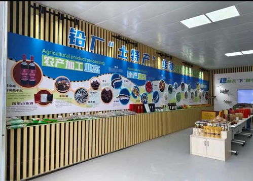 铅厂土特产 文化用品绘就乡村振兴丰景图